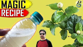 BEST ORGANIC PESTICIDE FORMULA  Home made Pest Control Recipe [upl. by Ibbor]