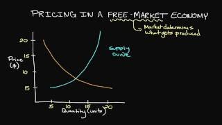 Pricing in a FreeMarket Economy [upl. by Ailahk]