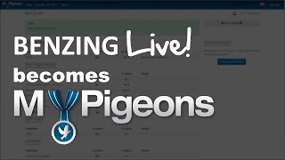 BENZING Live merges with MyPigeons [upl. by Ttehr]