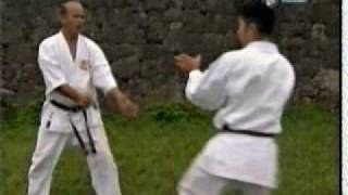 Karate do  Uechi Ryu or Pangai Noon [upl. by Hsinam]