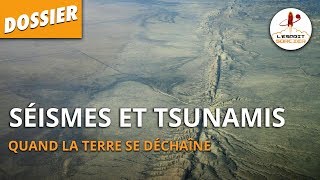 SÉISMES ET TSUNAMIS  Dossier 25  LEsprit Sorcier [upl. by Nnairac]