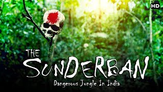 भारत का सबसे खतरनाक जंगल quotसुंदरबनquot  The Dangerous Sundarban [upl. by Nelav]