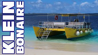 Our Day With Caribe Watersport  Snorkeling At Klein Bonaire  March 2020 Cruise Vlog  ParoDeeJay [upl. by Ollayos810]