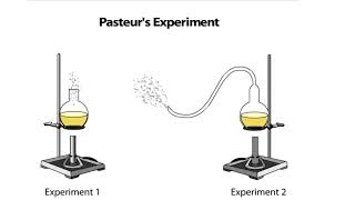 Pasteurs Experiment [upl. by Luis]