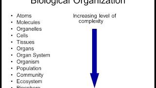 Biology 1010 Lecture 1 Intro to Biology [upl. by Marshall]