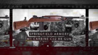 Springfield Armory M1 Carbine Blowback CO2 BB Rifle [upl. by Rey]