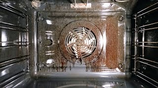 How to selfclean an oven My first test [upl. by Retloc]