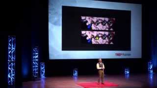 Reeducate the Immune System Gerald T Nepom at TEDxRainier [upl. by Nylzzaj29]