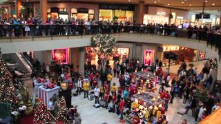 Flash Mob the best of Christmas 2011  Flash Mob Best Of [upl. by Arratal]