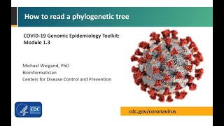 Module 13  How to read a phylogenetic tree [upl. by Ralston685]