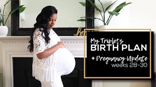 Triplets BIRTH PLAN  Pregnancy Update 28  30 weeks [upl. by Panter906]