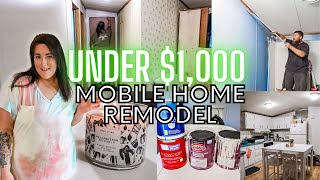 REMODELING A SINGLE WIDE MOBILE HOME FOR UNDER 1000 DOLLARS  MOBILE HOME UPDATE [upl. by Burris]