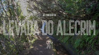 Madeira Portugal  4K Virtual Walk  Levada Do Alecrim Complete Walkthrough Hiking Madeira Island [upl. by Moraj]