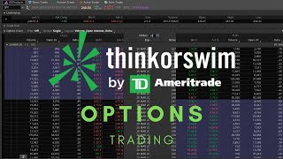 ThinkorSwim Tutorial Options Trading [upl. by Adonis297]