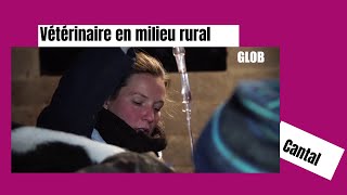 Vétérinaire en milieu rural [upl. by Anais]