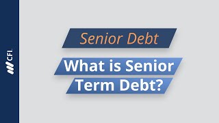 Senior Term Debt Explained [upl. by Hainahpez]