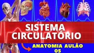 ANATOMIA DO SISTEMA CIRCULATÓRIO ANATOMIA HUMANA  CORAÇÃO ARTÉRIAS E VEIAS [upl. by Corinna]