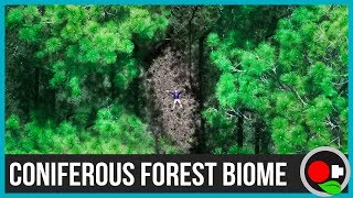 The Coniferous Forest Biome Explained [upl. by Annabela]