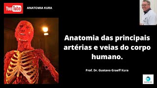 Anatomia das principais artérias e veias do corpo humano [upl. by Handy182]