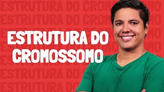 Estrutura do Cromossomo  Prof Kennedy Ramos [upl. by Ecirted]