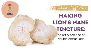 Advanced Tincture Making Double Extracted Lions Mane Mushroom [upl. by Aprilette]