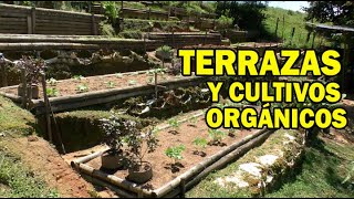 TERRAZAS PARA CULTIVOS ORGÁNICOS [upl. by Sucramel]