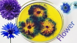 Chemical flower Experiment Sodium reaction [upl. by Eutnoj9]