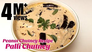 Palli Chutney  Peanut Chutney Recipe  How to make Chutney  Hyderabadi Ruchulu [upl. by Yehs120]