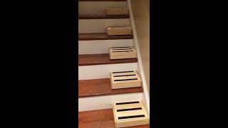 DIY solution to steep stairs [upl. by Starinsky365]