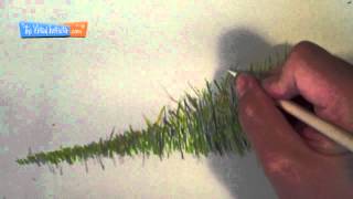 How to Draw Grass  Colored Pencils [upl. by Anad]