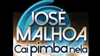 José Malhoa  Cai pimba nela Lyric video [upl. by Cire826]