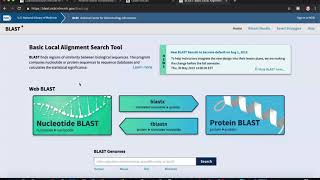 Analyzing Gene Sequence Results with BLAST [upl. by Keil]