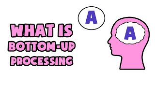 What is Bottomup processing  Explained in 2 min [upl. by Synn]