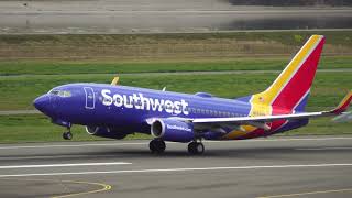 Southwest Boeing 737800 taking off [upl. by Llevol]