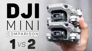 Mavic Mini vs Mini 2  What Did DJI Change [upl. by Oel]