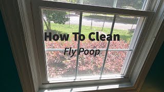 How To Clean Fly Poop FAST [upl. by Aliuqa]