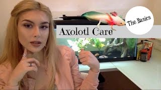 Axolotl Care The Basics [upl. by Nolra]