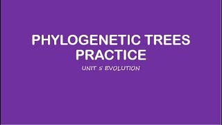 AP Biology Phylogenetic Tree Practice [upl. by Orhtej]