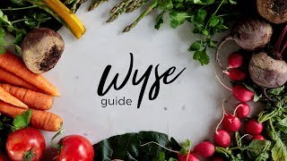 Welcome to the Wyse Guide [upl. by Chicky402]