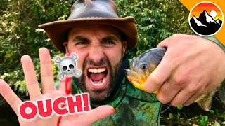 EATEN ALIVE  Human Hands vs Piranha [upl. by Garlan]