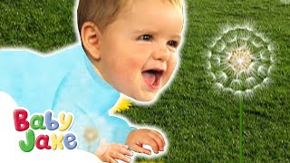 BabyJake  BabyJake Chases Dandelions  Full Episodes  Episodes [upl. by Jakob]