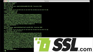 How to Export Certificates and Private Key from a PKCS12 File with OpenSSL [upl. by Nylarat]