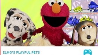 Elmo playful pets sesame street [upl. by Buerger958]