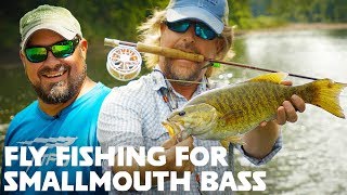 FLY FISHING for Smallmouth Bass Streamers  Poppers [upl. by Enomyar]