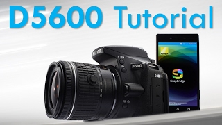 Nikon D5600 Overview Tutorial [upl. by Nelyaw]