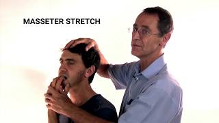 How to Stretch the Masseter Muscle  Trigger Point Therapy [upl. by Atilrahc]