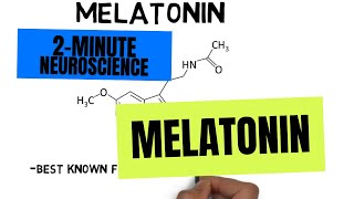 2Minute Neuroscience Melatonin [upl. by Rickard]