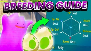 How to breed Perfect IV Pokemon in Scarlet and Violet [upl. by Reichert245]