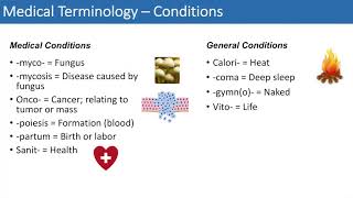 Medical Terminology  The Basics  Lesson 4 [upl. by Nwadal]