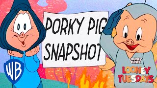 Porky Pig Snapshot  Looney Tuesdays  WB Kids [upl. by Smaoht]